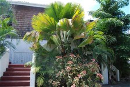 Fort Recovery Villa Suites Hotel Freshwater Pond Buitenkant foto